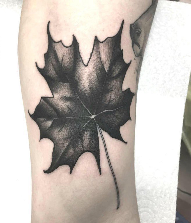 枫叶纹身图 男生手臂上黑色的枫叶纹身图片