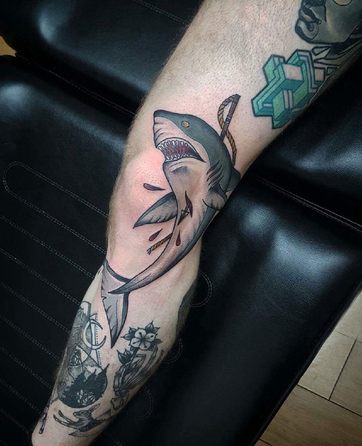 鲨鱼纹身图 男生小腿上彩色的鲨鱼纹身图片