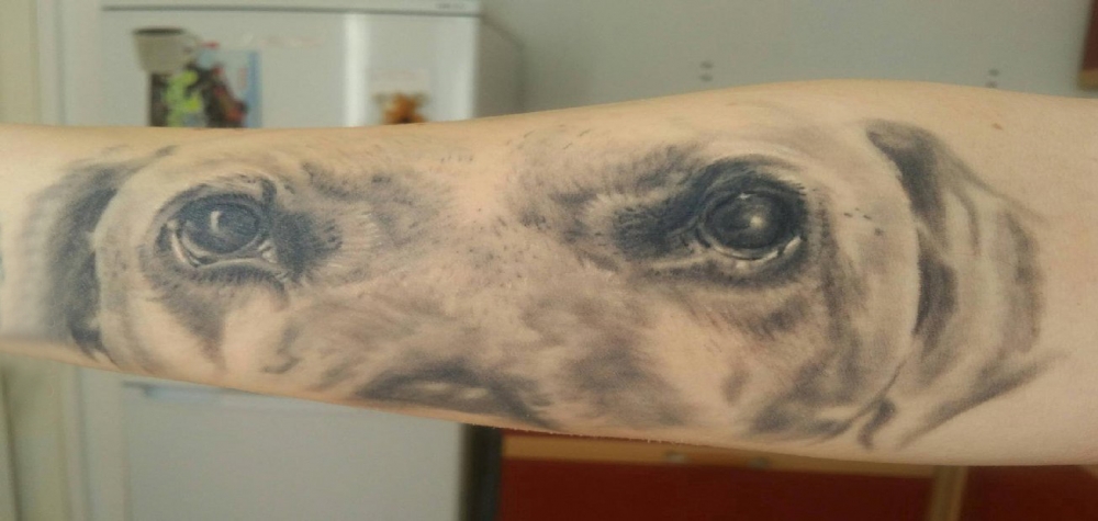 手臂纹身素材 男生手臂上黑灰的小狗纹身图片