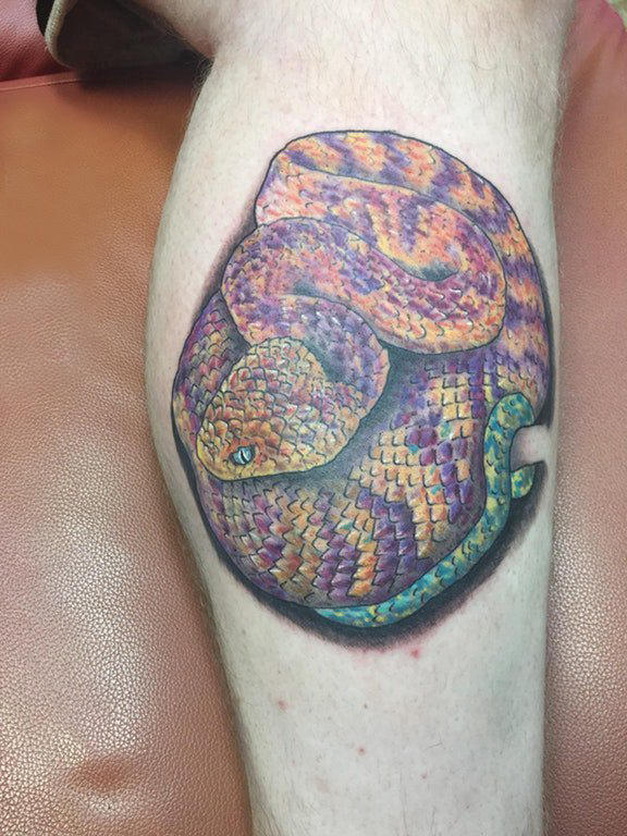 欧美小腿纹身 男生小腿上彩色的蛇纹身图片
