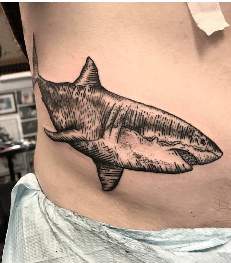 百乐动物纹身 男生侧腰上黑色的鲨鱼纹身图片
