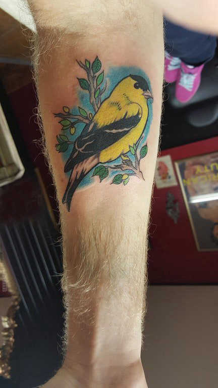 手臂纹身图片 男生手臂上彩色的小鸟纹身图片