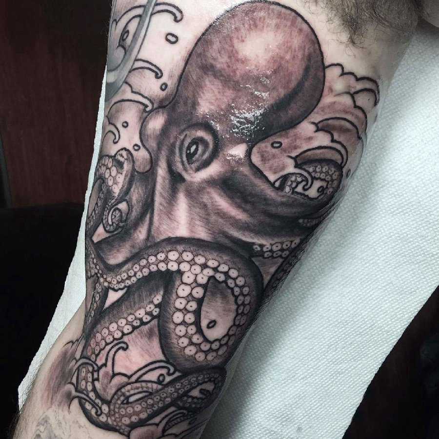 双大臂纹身 男生大臂上黑色的章鱼纹身图片