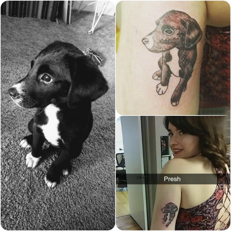 纹身动物 女生大臂上黑色的小狗纹身图片