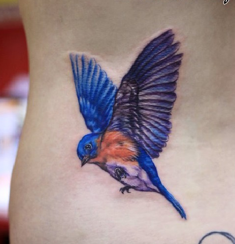 腰部彩色小鸟展翅纹身图案