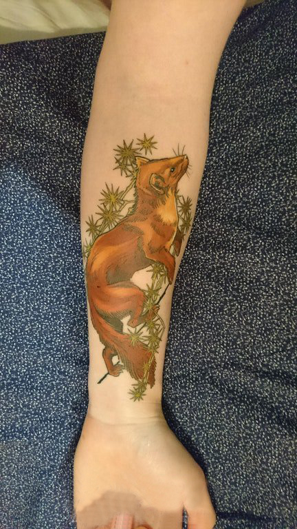 手臂纹身素材 女生手臂上植物和动物纹身图片