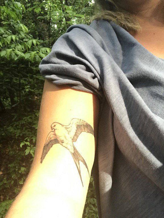 纹身燕子 女生手臂上黑色的燕子纹身图片