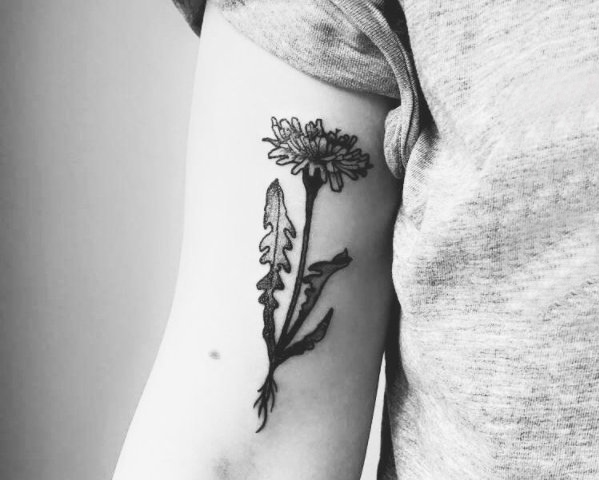 文艺花朵纹身 女生手臂上黑灰纹身花朵纹身图片