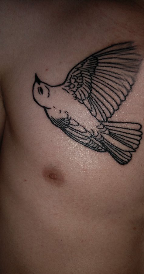 小动物纹身 男生胸部黑色的鸟纹身图片