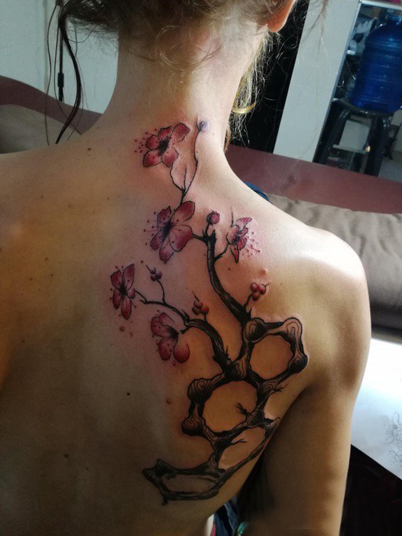 纹身后背女 女生后背上彩色的樱花纹身图片