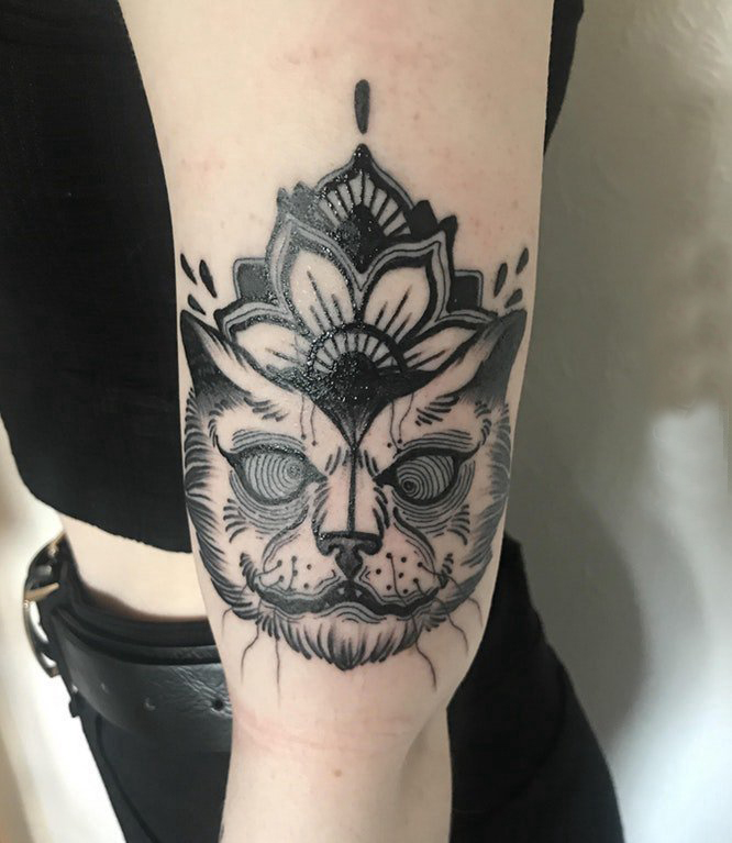 小猫咪纹身 女生手臂上小猫咪纹身唯美图片