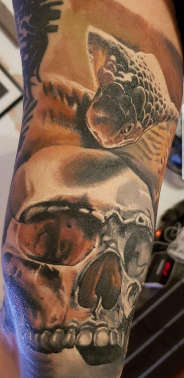 手臂纹身素材 男生手臂上蛇和骷髅纹身图片