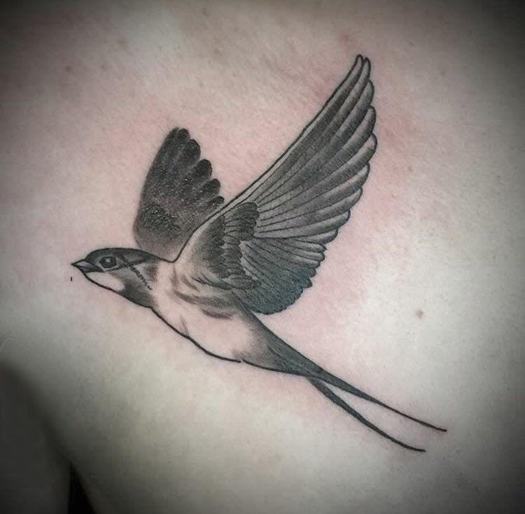 纹身胸部男 男生胸部黑色的鸟纹身图片