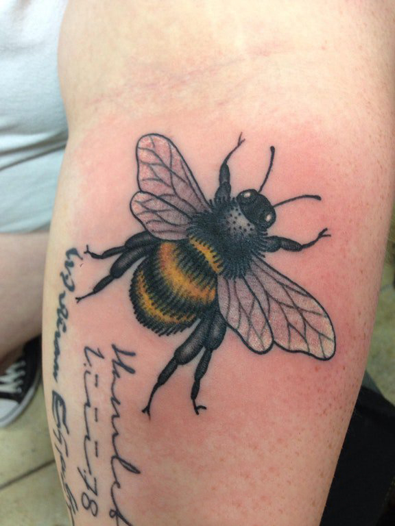 小动物纹身 男生手臂上彩色的蜜蜂纹身图片