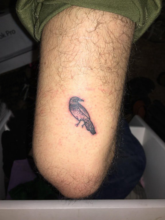 小鸟3d纹身 男生腿部黑色的小鸟纹身图片