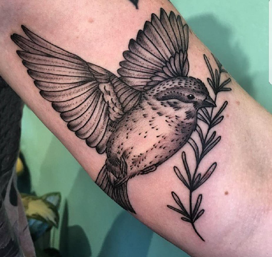 手臂纹身素材 男生手臂上植物和鸟纹身图片
