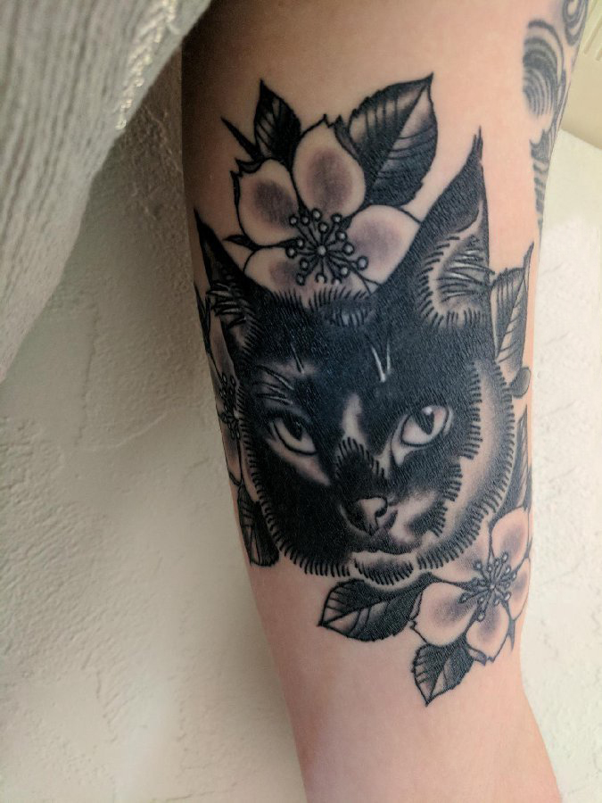 小清新猫咪纹身 女生手臂上猫咪纹身图案