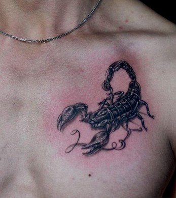 图腾毒蝎胸部纹身