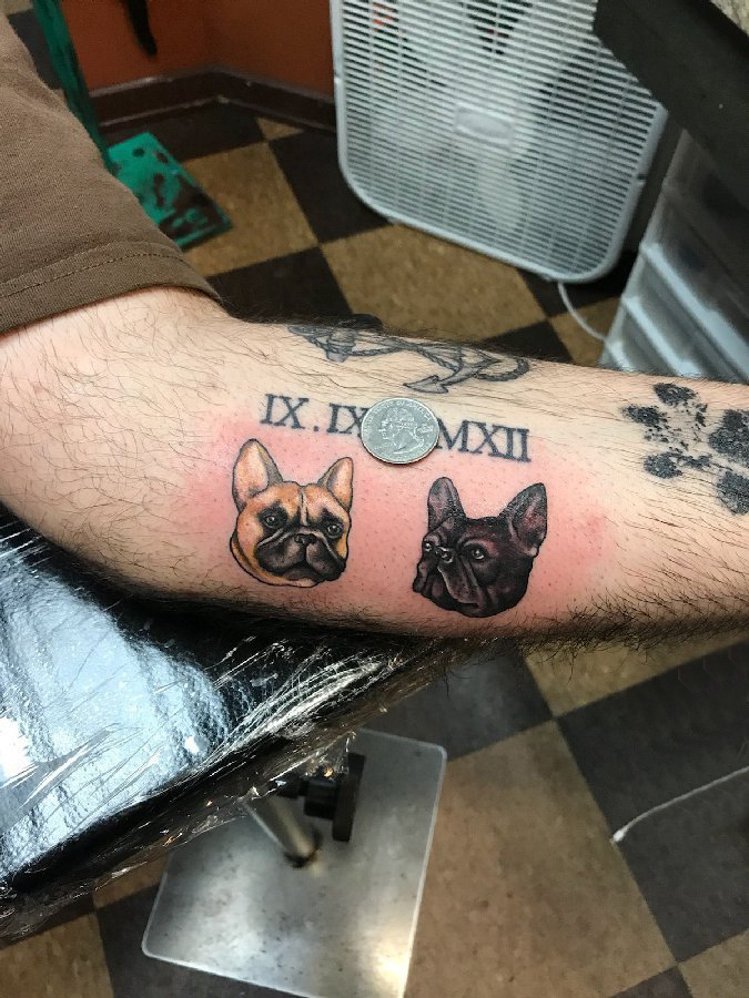手臂纹身素材 男生手臂上彩色的小狗纹身图片