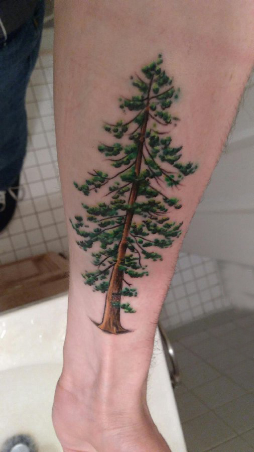 手臂纹身图片 男生手臂上彩色的大树纹身图片