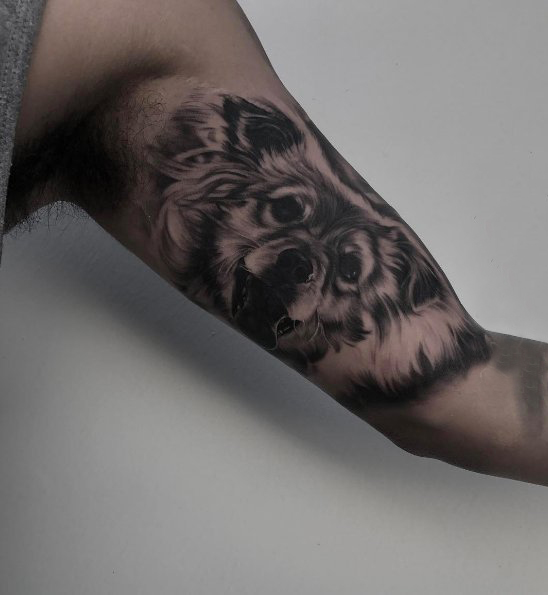 纹身点刺技巧 男生手臂上黑色的狼纹身图片