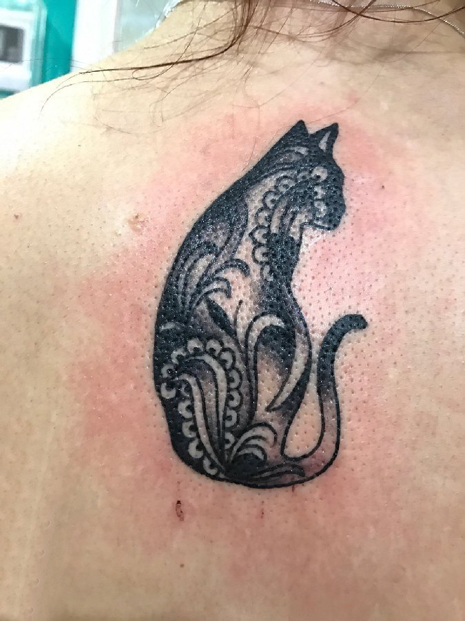 小清新猫咪纹身 女生背部小猫咪纹身图片