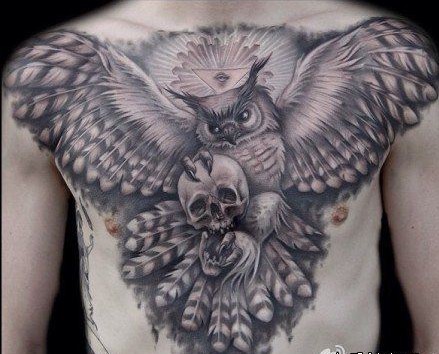 神秘猫头鹰胸部纹身