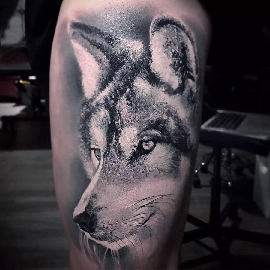 狼纹身 男生小腿上狼头纹身图案