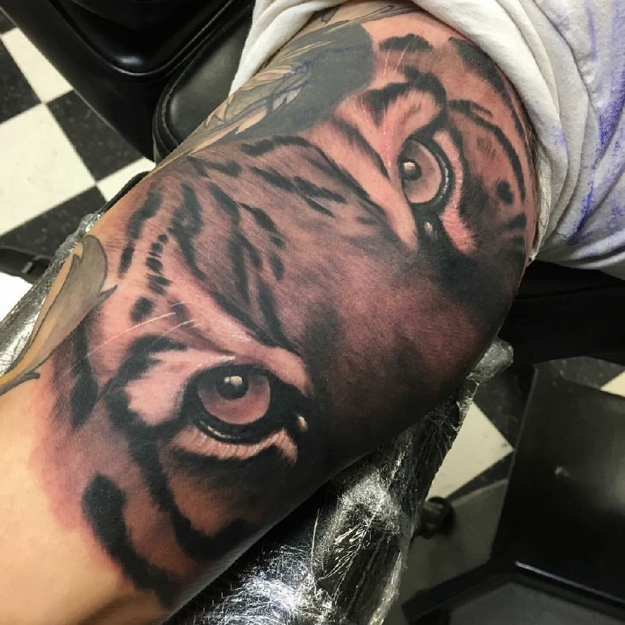 老虎图腾纹身 男生手臂上老虎纹身黑灰纹身图片