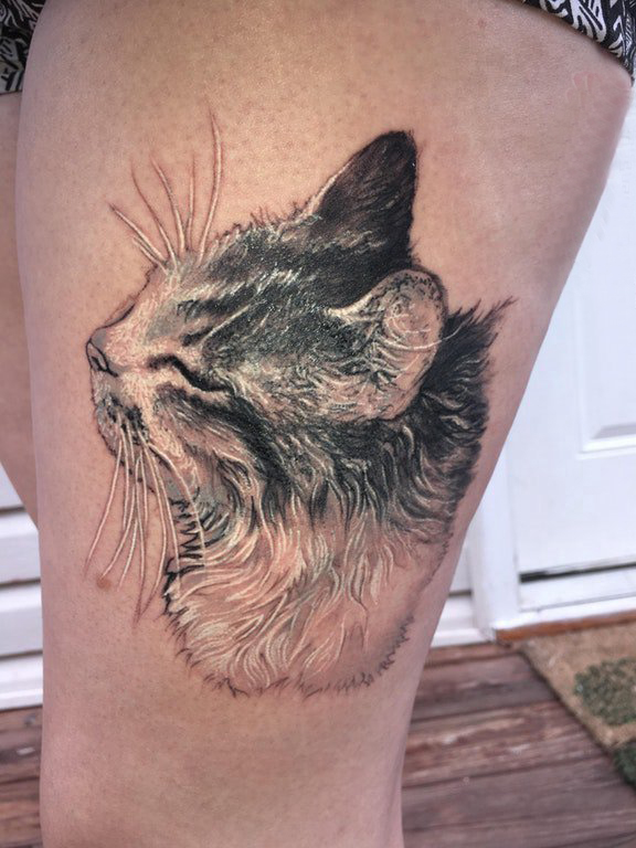 小清新猫咪纹身 女生大腿上小猫咪纹身图片