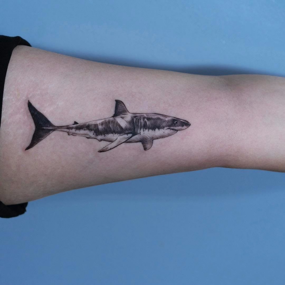 鲨鱼纹身图 男生大臂上黑色的鲨鱼纹身图片