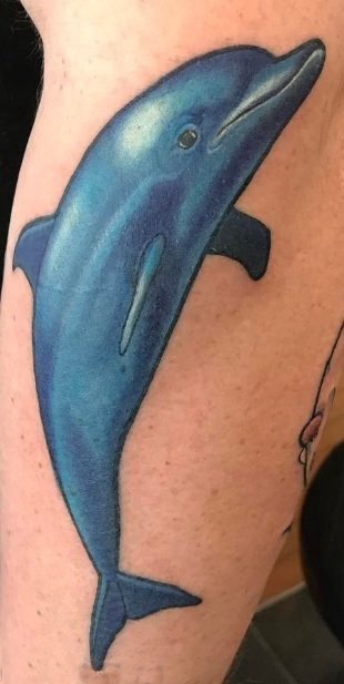 纹身海豚 男生手臂上海豚纹身图片