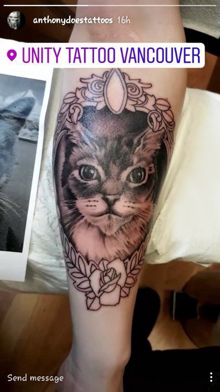 小清新猫咪纹身 女生手臂上猫纹身图案