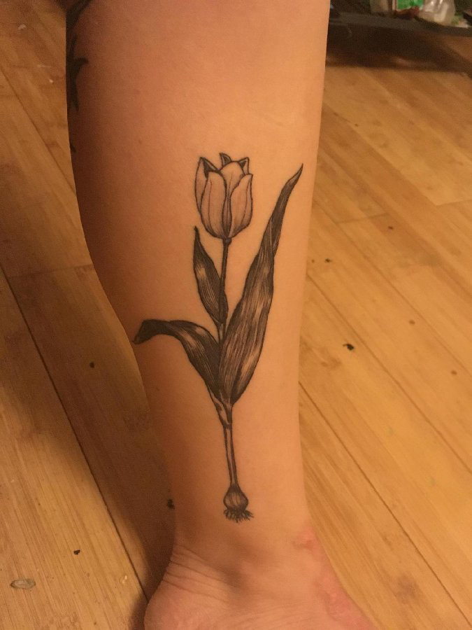 郁金香纹身图案 女生小腿上黑色的郁金香纹身图片