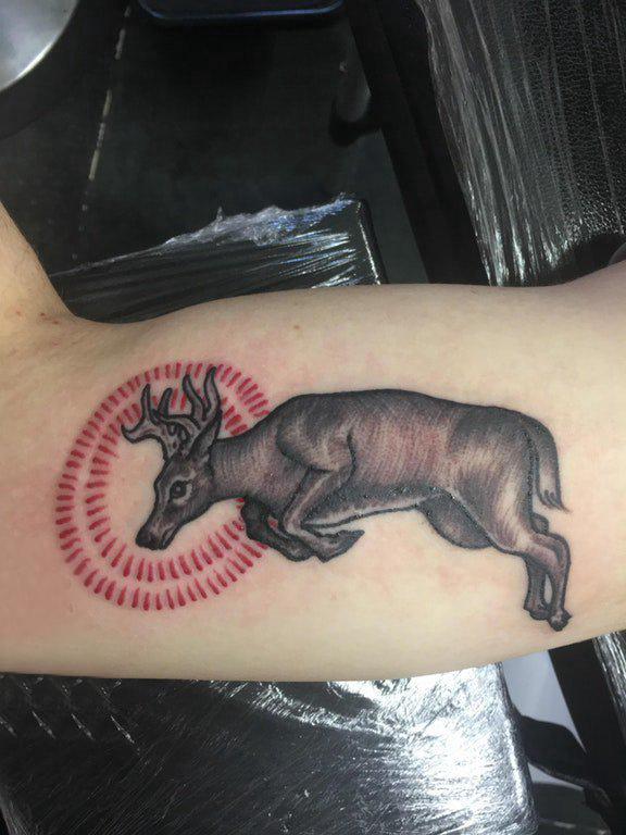 百乐动物纹身 男生手臂上圆形和鹿纹身图片
