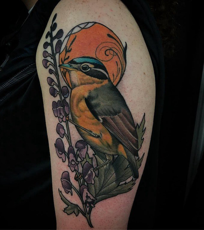 鸟纹身 男生手臂上鸟纹身百乐动物纹身图片