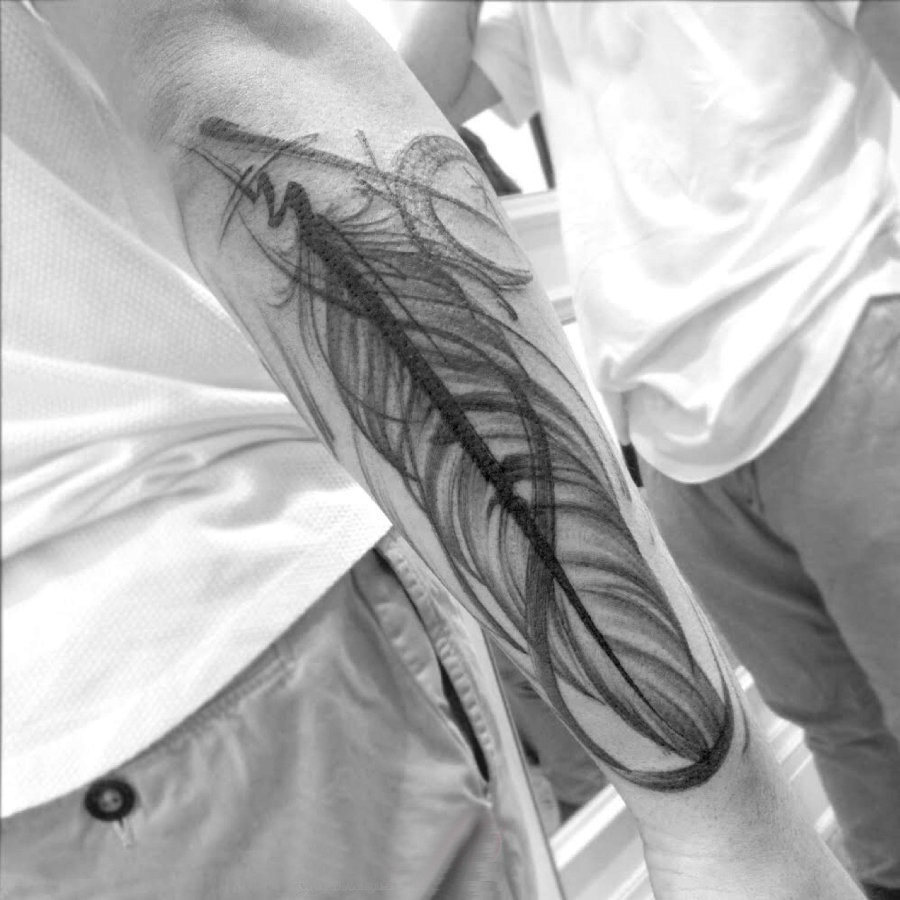 手臂纹身素材 男生手臂上黑色的羽毛纹身图片