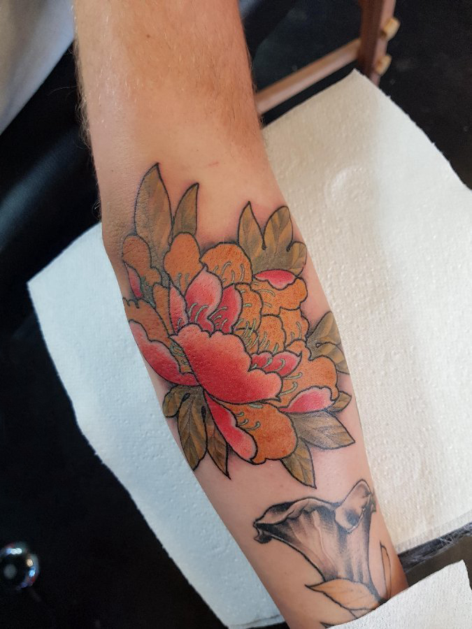 植物纹身 男生手臂上彩色的牡丹纹身图片