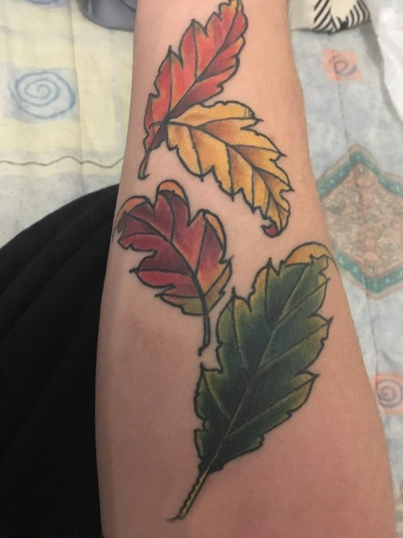 植物纹身 男生手臂上彩色的叶子纹身图片