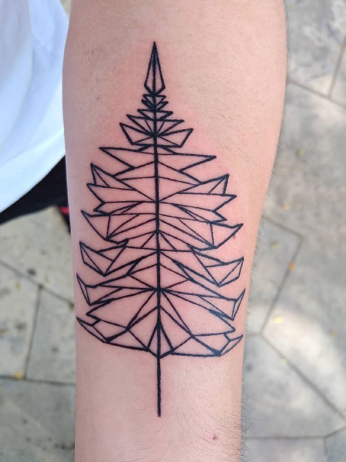 植物纹身 男生手臂上黑色的松树纹身图片