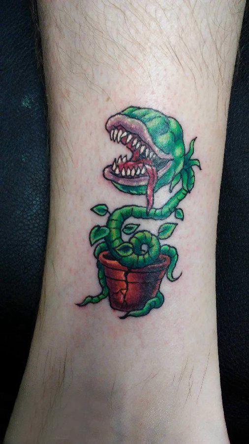植物纹身 男生小腿上彩色的食人花纹身图片