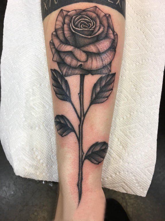植物纹身 男生小腿上黑色的玫瑰纹身图片