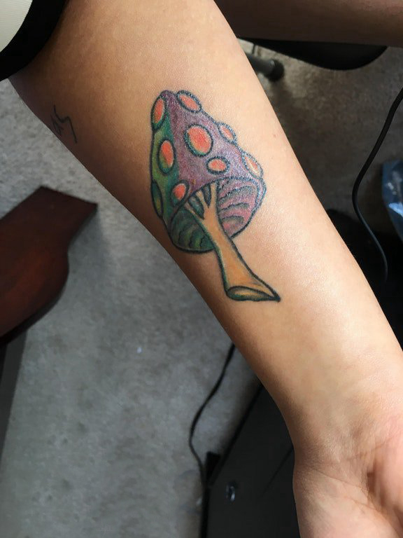 植物纹身 女生手臂上彩色的蘑菇纹身图片