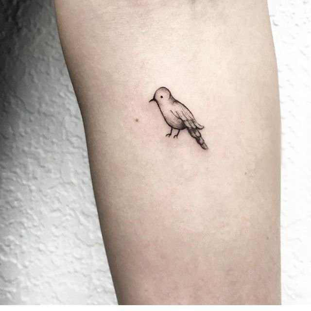手臂纹身图案女生 女生手臂上黑色的小鸟纹身图片