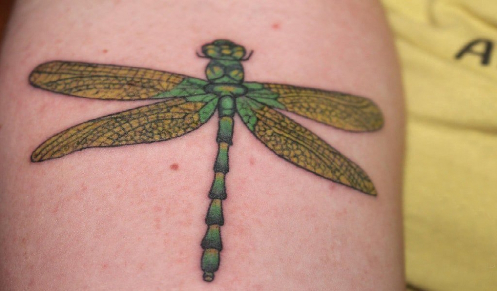 手臂纹身素材 男生手臂上彩色的蜻蜓纹身图片