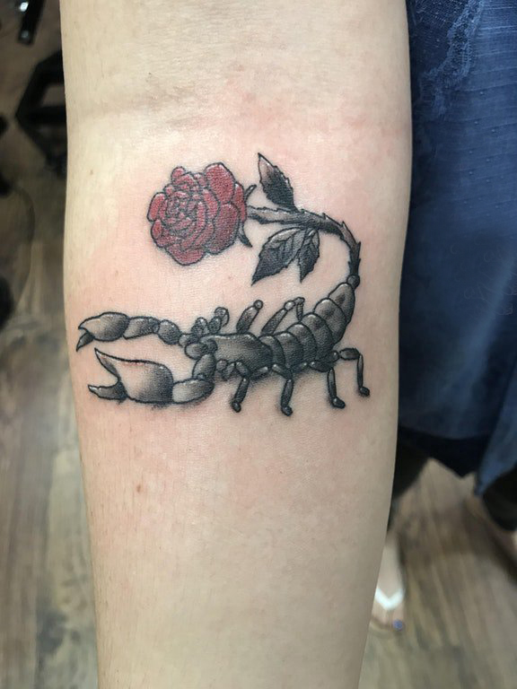 手臂纹身素材 女生手臂上玫瑰和蝎子纹身图片