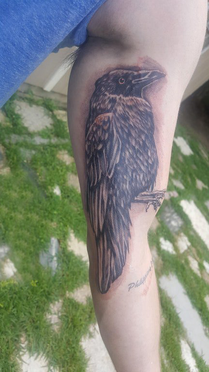 手臂纹身素材 男生手臂上黑色的乌鸦纹身图片