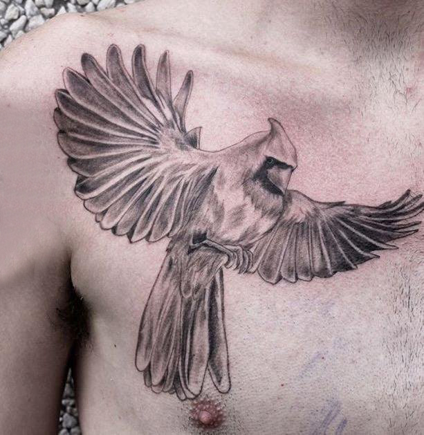 纹身胸部男 男生胸部黑色的鹦鹉纹身图片