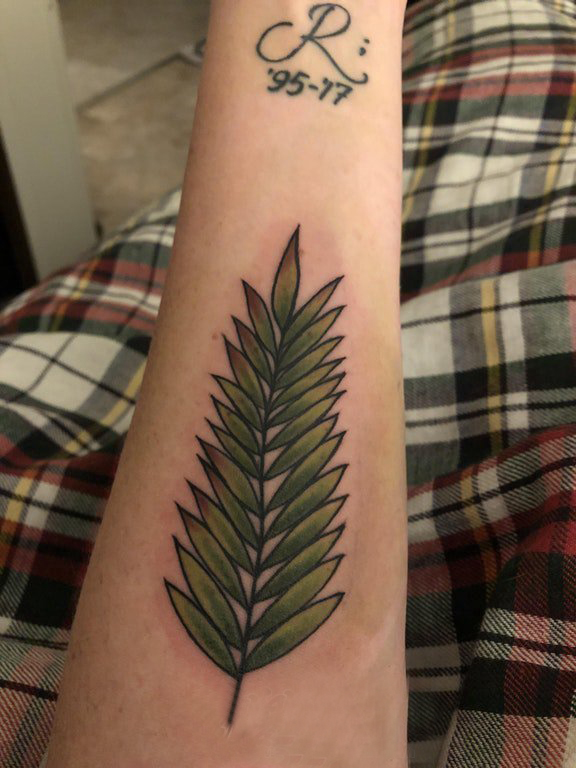 植物纹身 男生手臂上彩色的树叶纹身图片