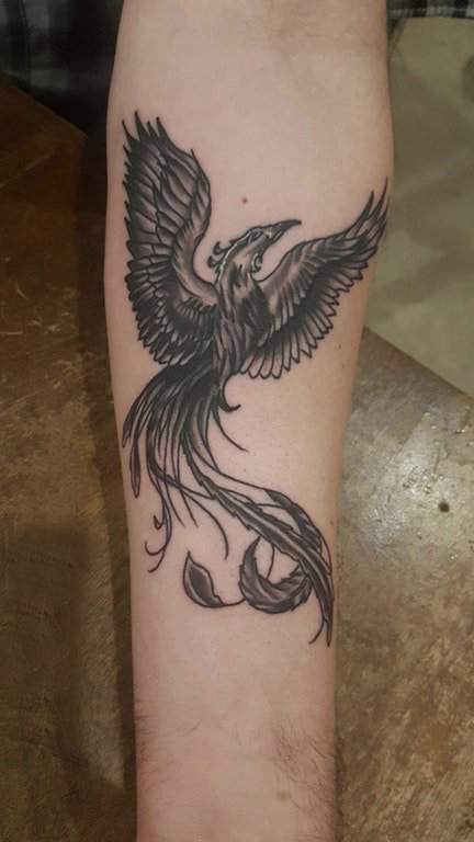 百乐动物纹身 男生手臂上黑色的凤凰纹身图片